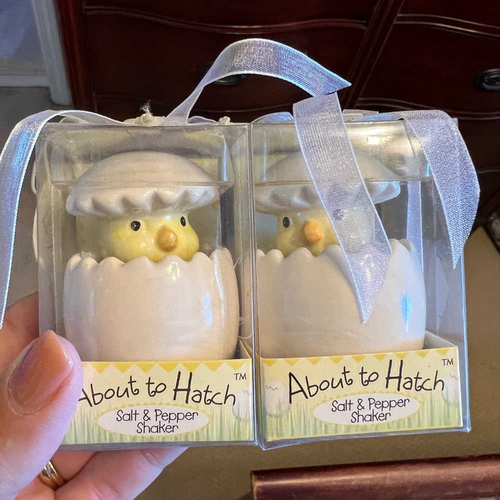 About to Hatch Salt and Pepper Shakers